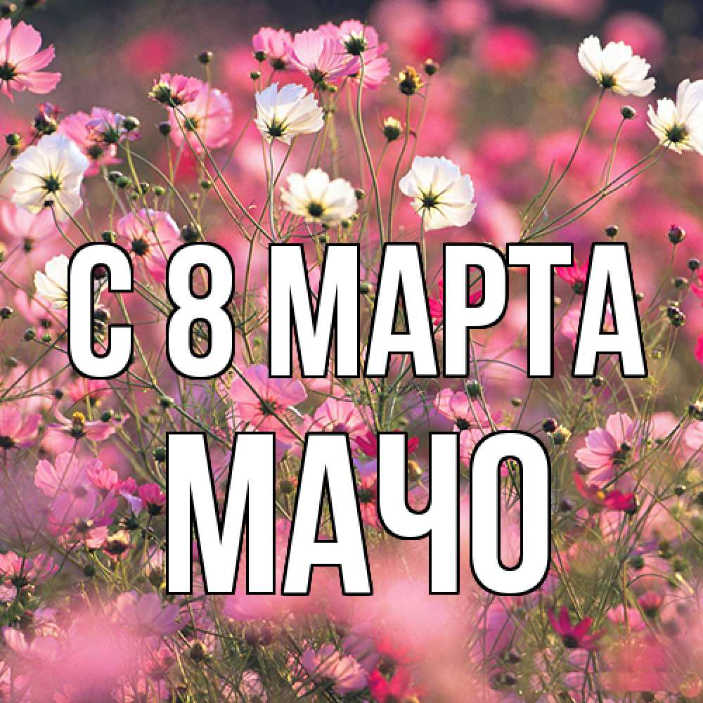 Открытка на каждый день с именем, Мачо C 8 МАРТА красиво 1 Прикольная открытка с пожеланием онлайн скачать бесплатно 