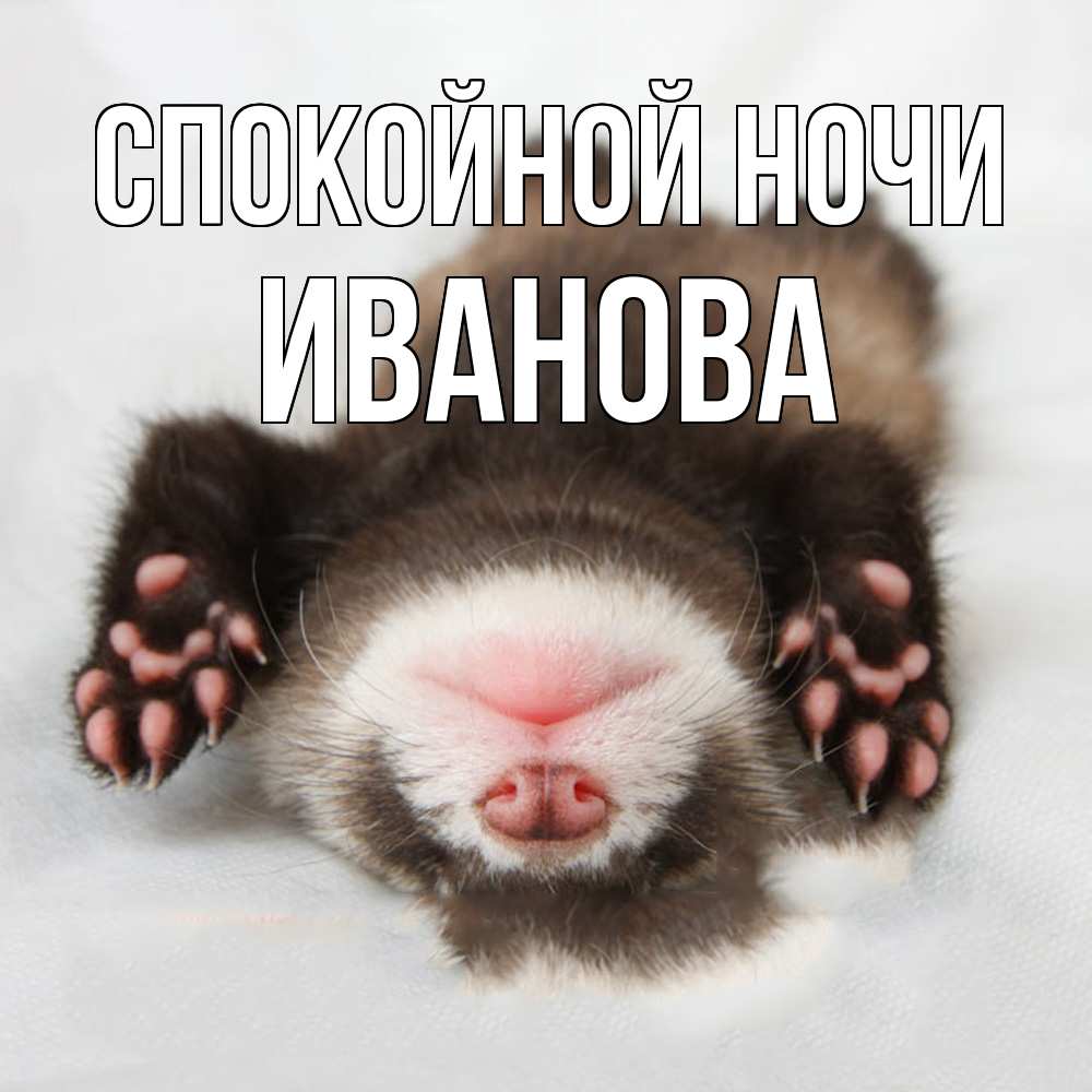Открытка на каждый день с именем, Иванова Спокойной ночи зверек Прикольная открытка с пожеланием онлайн скачать бесплатно 
