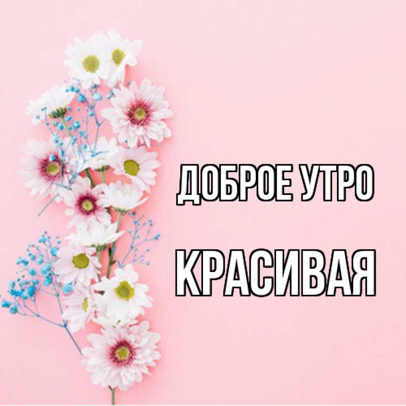 Картинка Доброе утро, Красивая