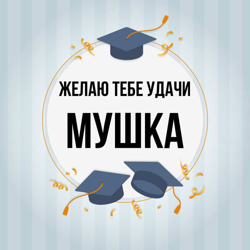Картинка Желаю тебе удачи, мушка
