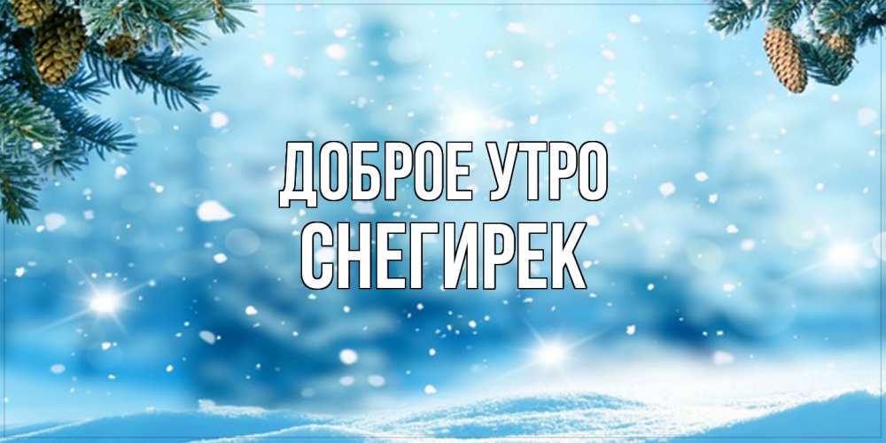 Открытка на каждый день с именем, снегирек Доброе утро зимнее доброе утро Прикольная открытка с пожеланием онлайн скачать бесплатно 