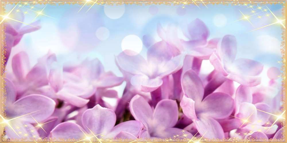 Открытка на каждый день с именем, Серафим C 8 МАРТА открытка на международный женский день с цветами Прикольная открытка с пожеланием онлайн скачать бесплатно 