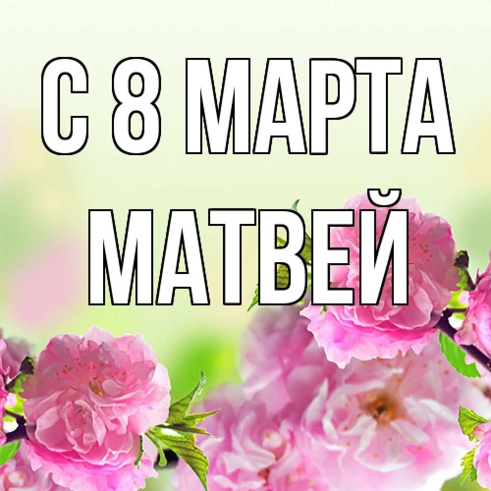 Открытка на каждый день с именем, Матвей C 8 МАРТА цветы Прикольная открытка с пожеланием онлайн скачать бесплатно 