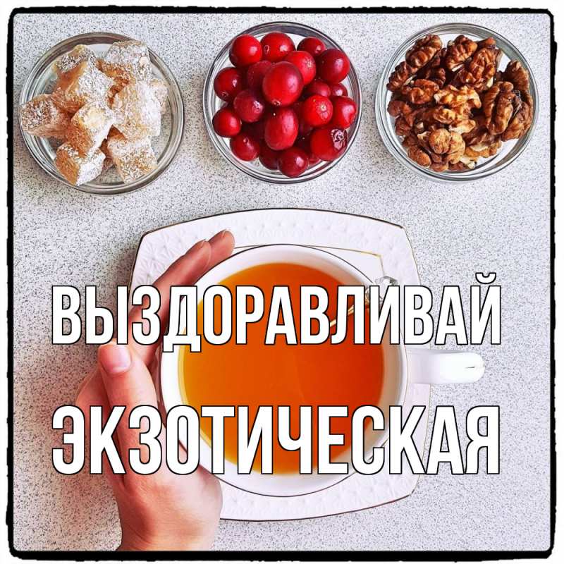 Картинка Выздоравливай, Экзотическая