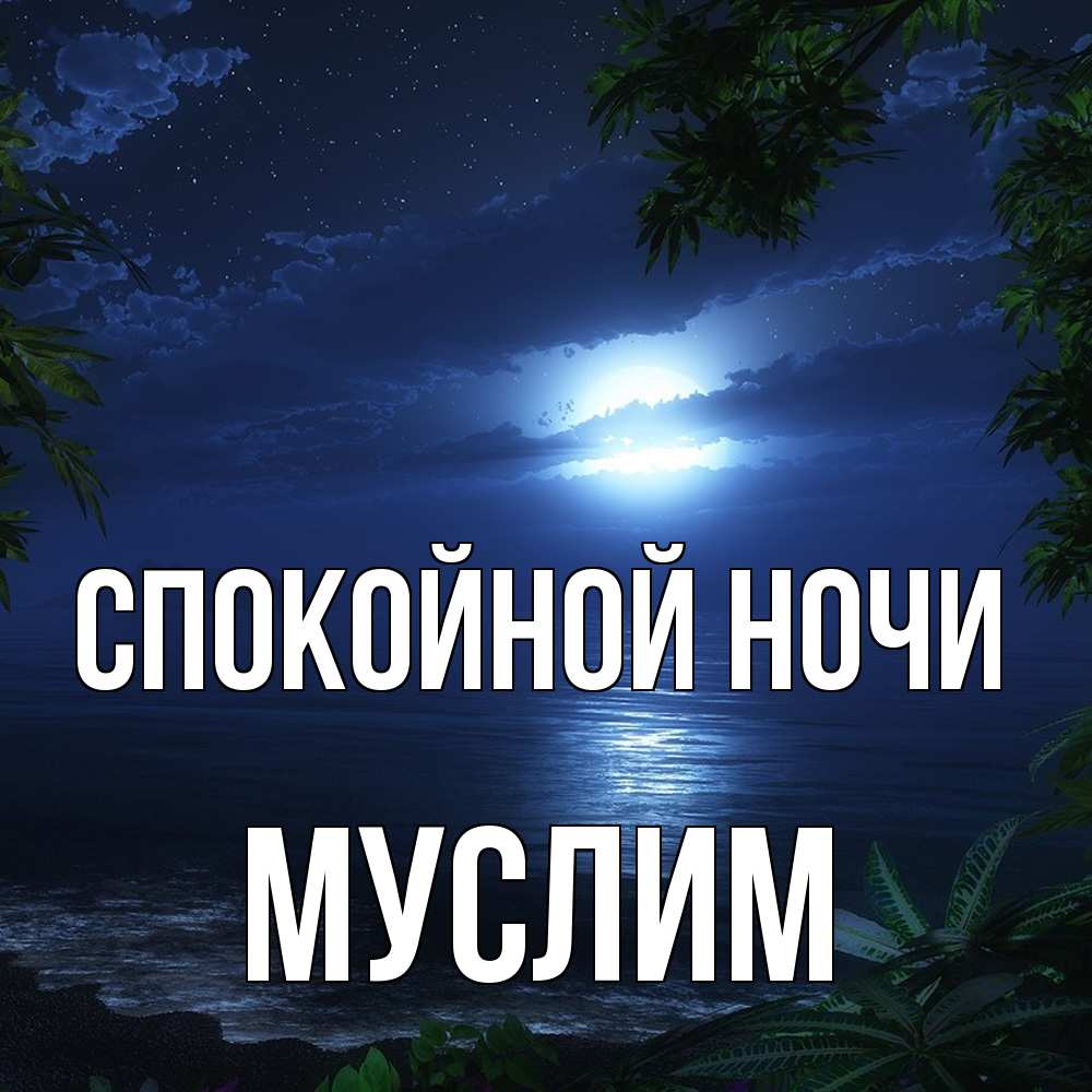 Открытка на каждый день с именем, Муслим Спокойной ночи тропический остров Прикольная открытка с пожеланием онлайн скачать бесплатно 