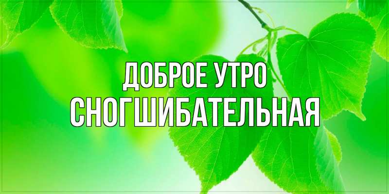 Картинка Доброе утро, Сногшибательная