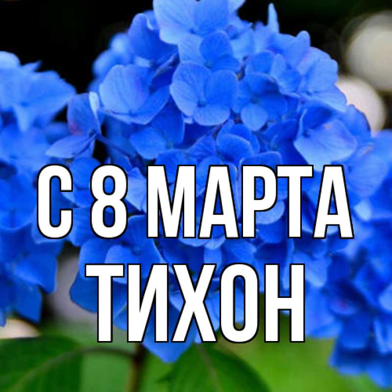 Картинка C 8 МАРТА, Тихон