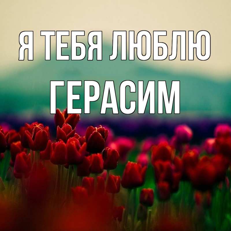 Картинка Я тебя люблю, Герасим