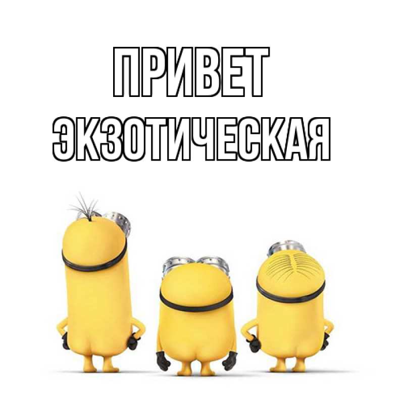 Картинка Привет, Экзотическая