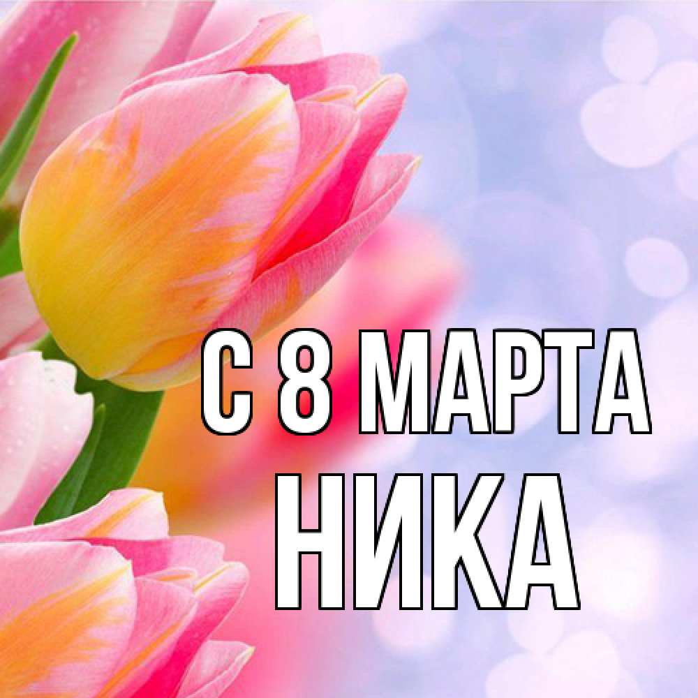 Открытка на каждый день с именем, Ника C 8 МАРТА тюльпаны 2 Прикольная открытка с пожеланием онлайн скачать бесплатно 