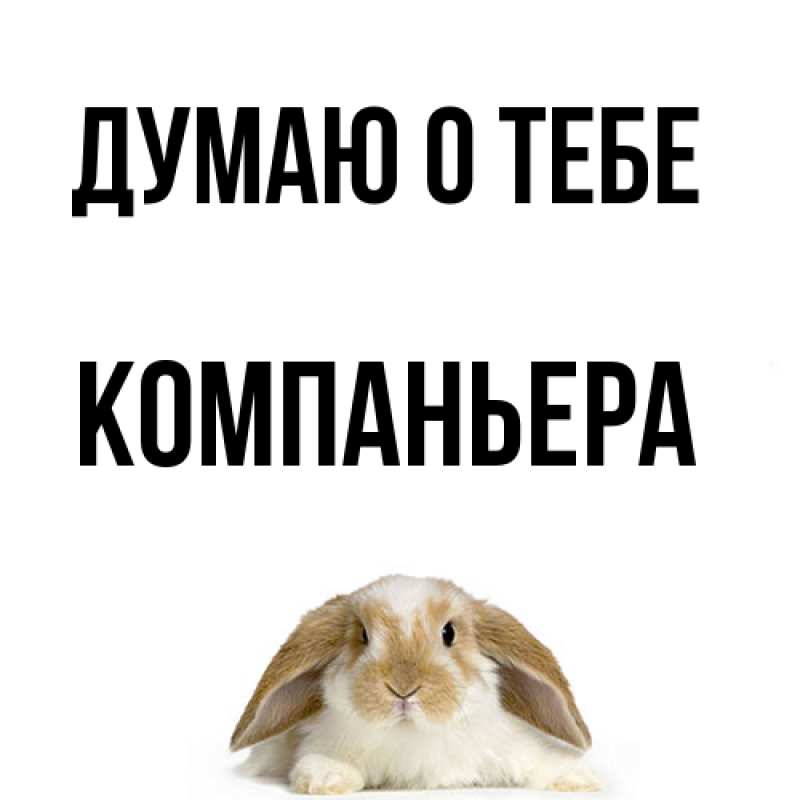 Картинка Думаю о тебе, Компаньера