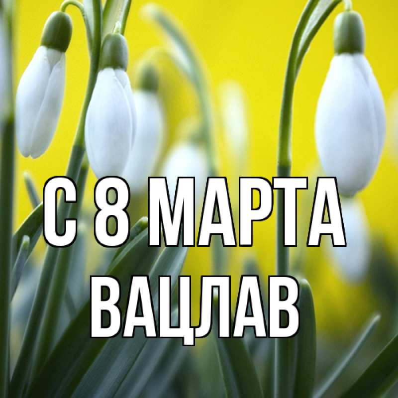 Картинка C 8 МАРТА, Вацлав