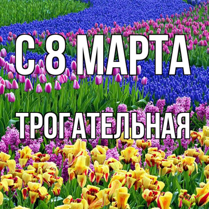 Картинка C 8 МАРТА, Тpогательная