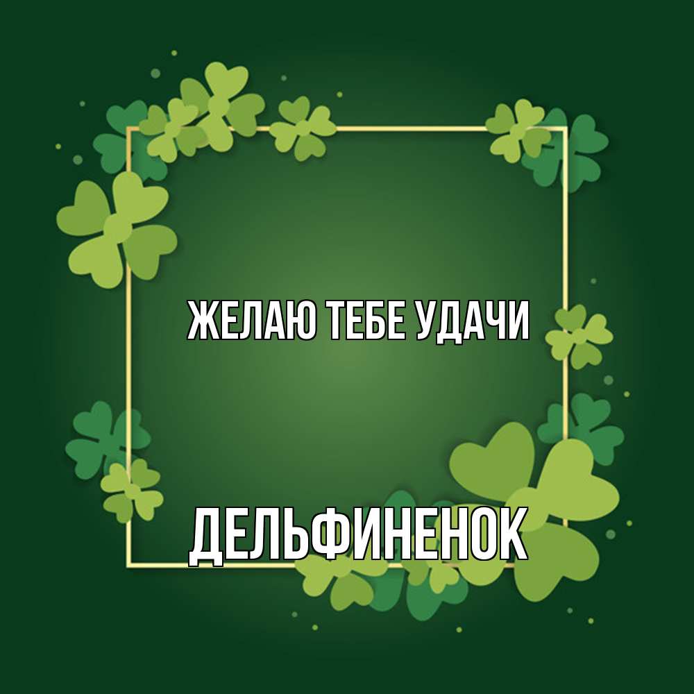 Открытка на каждый день с именем, дельфиненок Желаю тебе удачи квадратная рамка 3 Прикольная открытка с пожеланием онлайн скачать бесплатно 