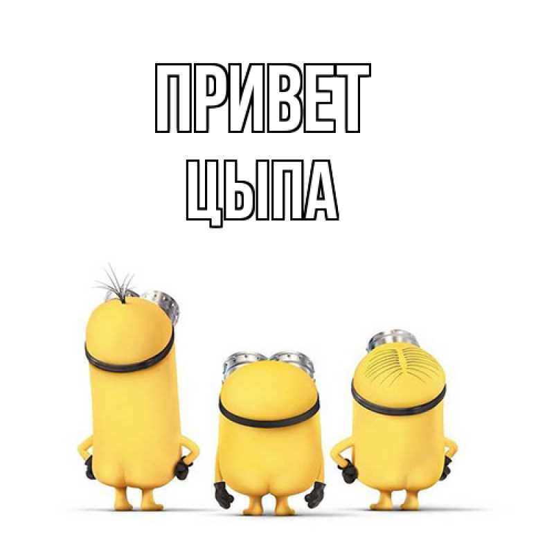 Картинка Привет, Цыпа