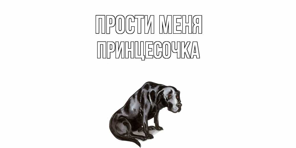 Открытка на каждый день с именем, Принцесочка Прости меня грустная собака на открытке с подписью прости меня Прикольная открытка с пожеланием онлайн скачать бесплатно 