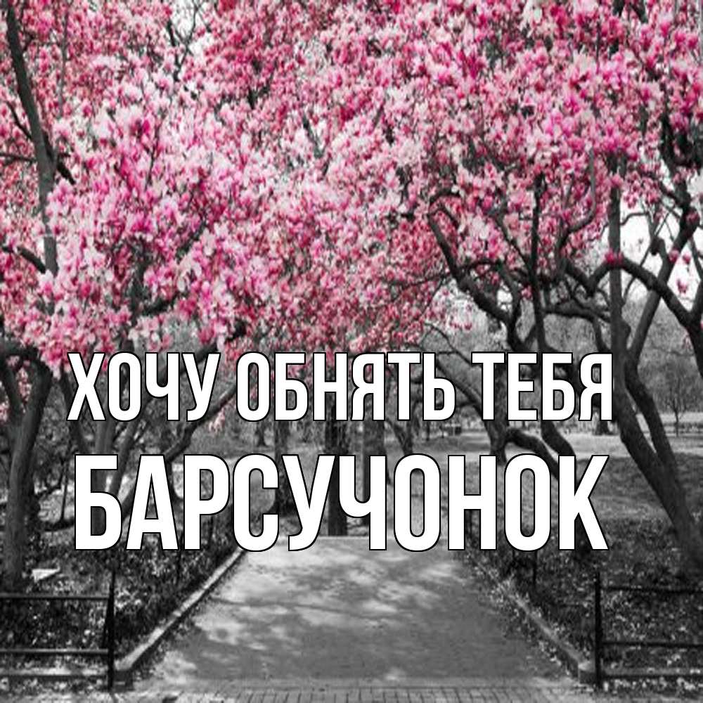 Открытка на каждый день с именем, Барсучонок Хочу обнять тебя обработанное фото Прикольная открытка с пожеланием онлайн скачать бесплатно 