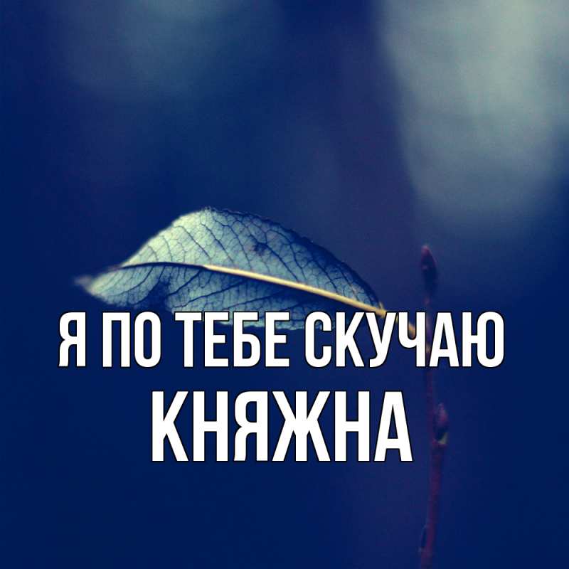 Картинка Я по тебе скучаю, Княжна