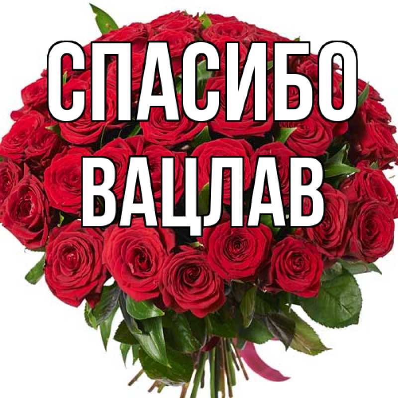 Картинка Спасибо, Вацлав