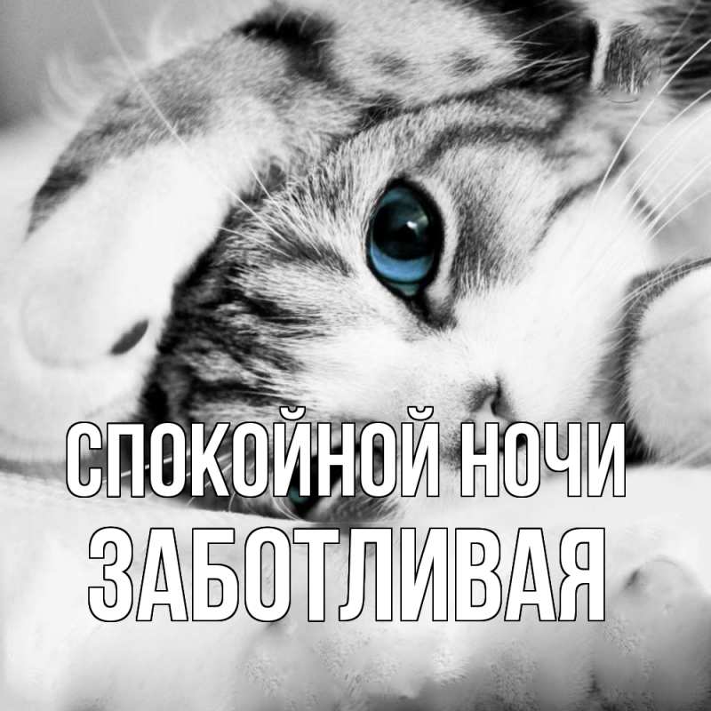 Картинка Спокойной ночи, Заботливая