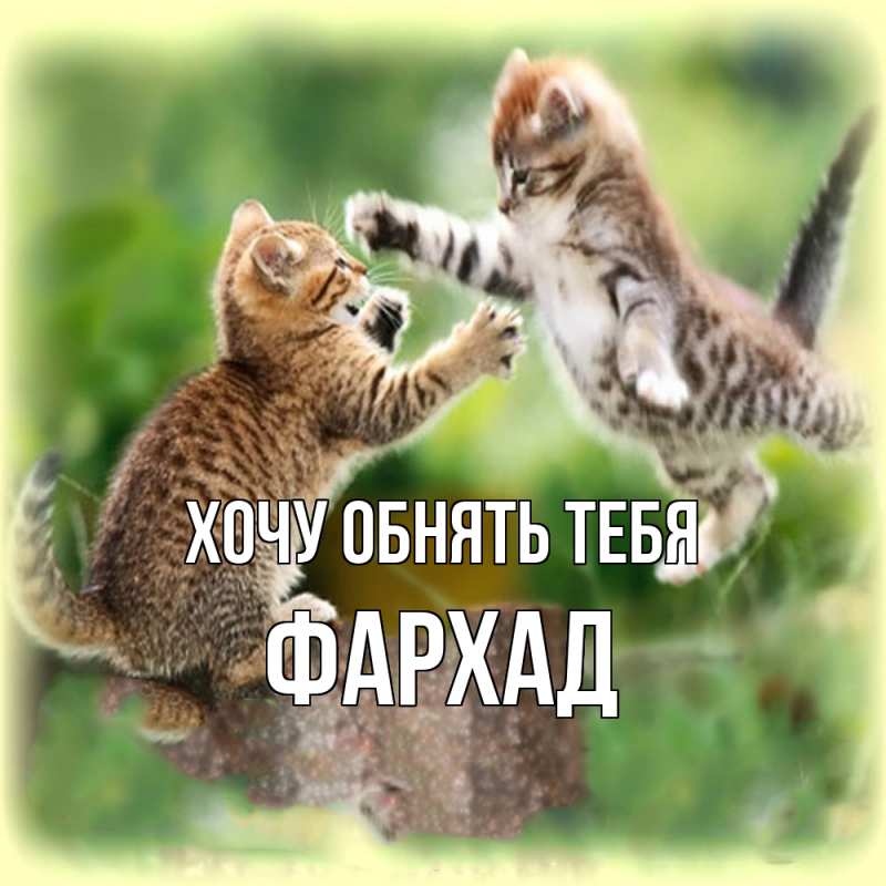 Картинка Хочу обнять тебя, Фархад