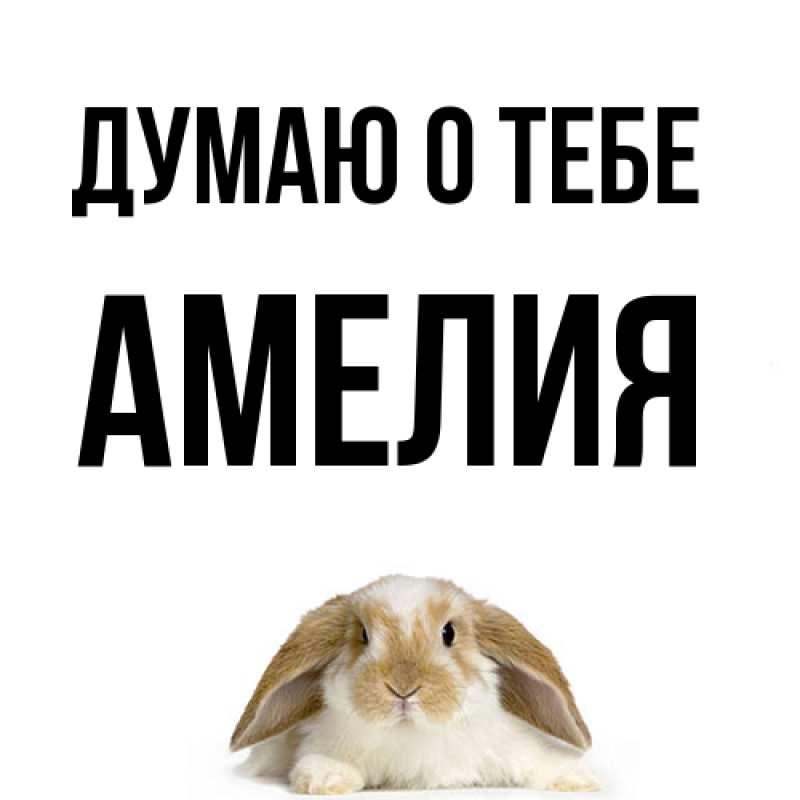 Картинка Думаю о тебе, Амелия