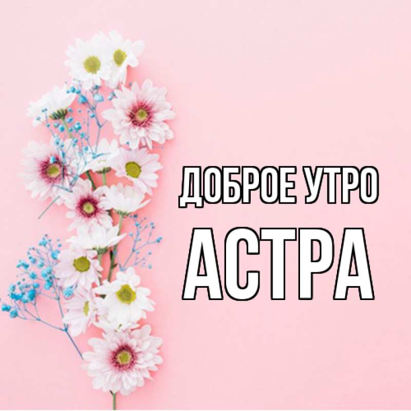 Картинка Доброе утро, Астра