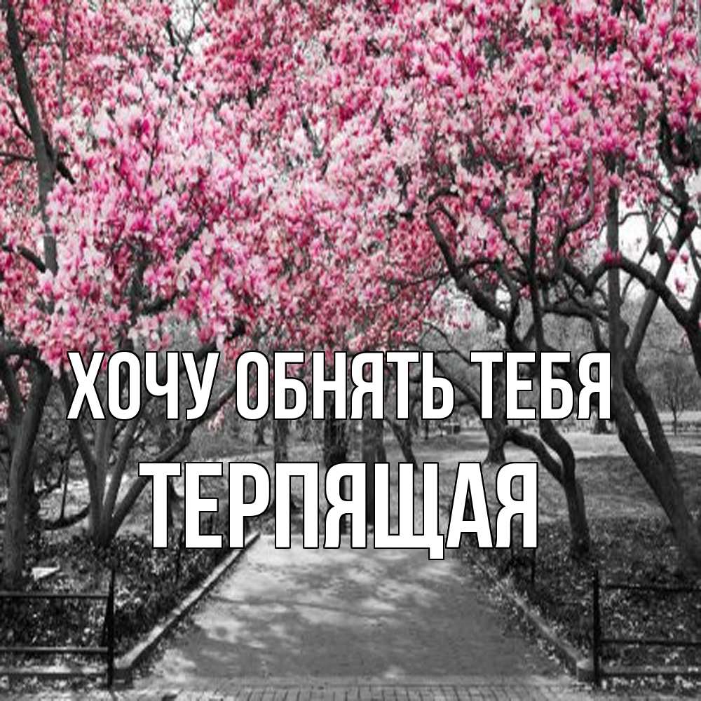 Открытка на каждый день с именем, Теpпящая Хочу обнять тебя обработанное фото Прикольная открытка с пожеланием онлайн скачать бесплатно 