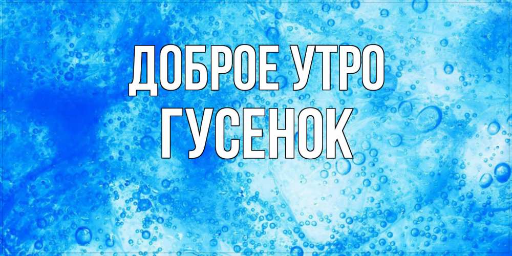 Открытка на каждый день с именем, гусенок Доброе утро хорошее утро под водой Прикольная открытка с пожеланием онлайн скачать бесплатно 