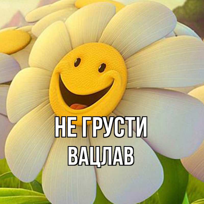 Картинка Не грусти, Вацлав