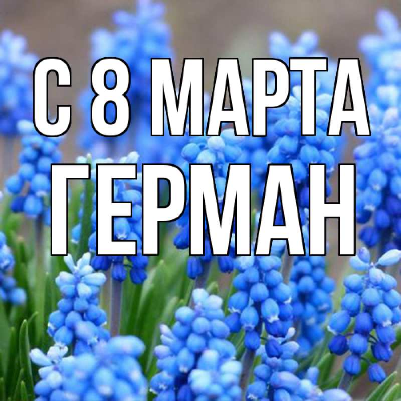 Картинка C 8 МАРТА, Герман