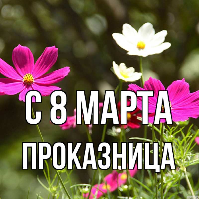 Картинка C 8 МАРТА, Пpоказница