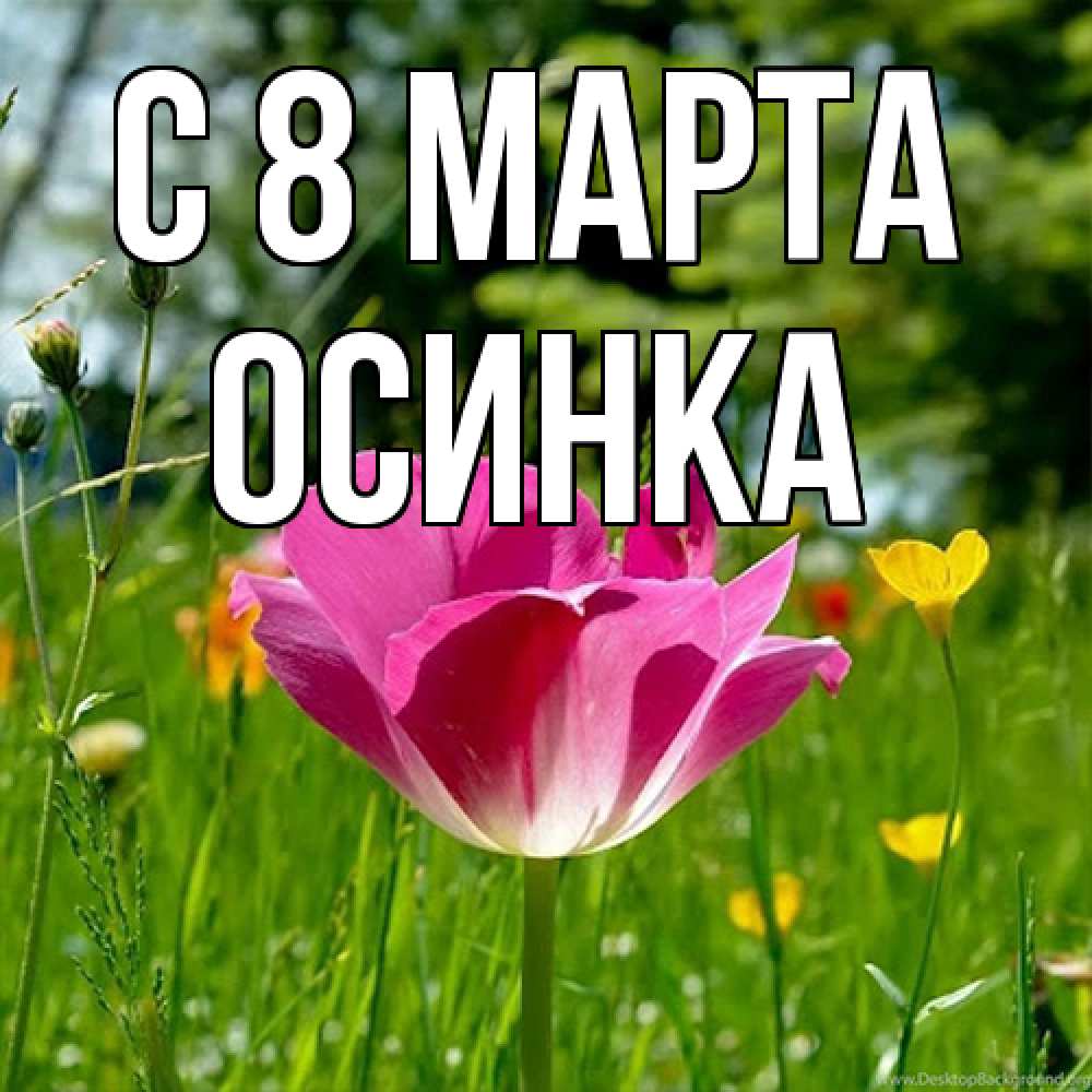 Открытка на каждый день с именем, осинка C 8 МАРТА полевые цветы Прикольная открытка с пожеланием онлайн скачать бесплатно 