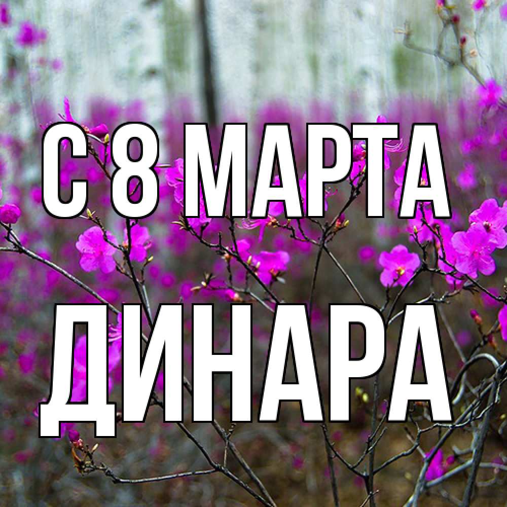 Открытка на каждый день с именем, Динара C 8 МАРТА дикие цветы Прикольная открытка с пожеланием онлайн скачать бесплатно 