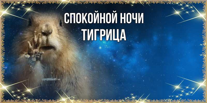 Картинка Спокойной ночи, Тигрица