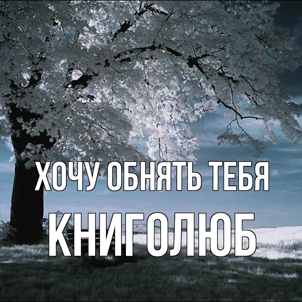 Открытка на каждый день с именем, Книголюб Хочу обнять тебя дерево Прикольная открытка с пожеланием онлайн скачать бесплатно 