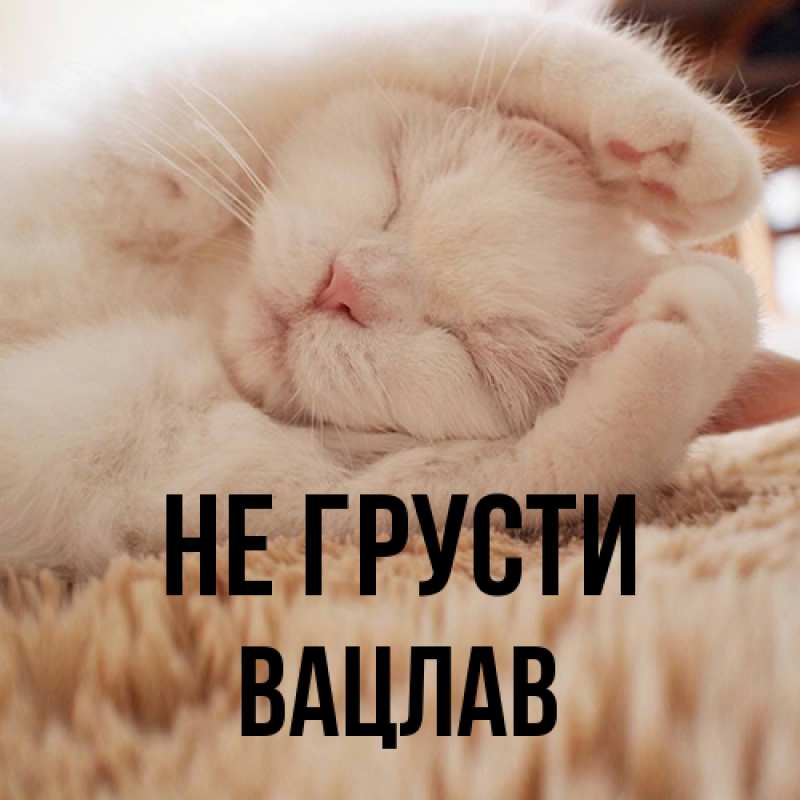 Картинка Не грусти, Вацлав