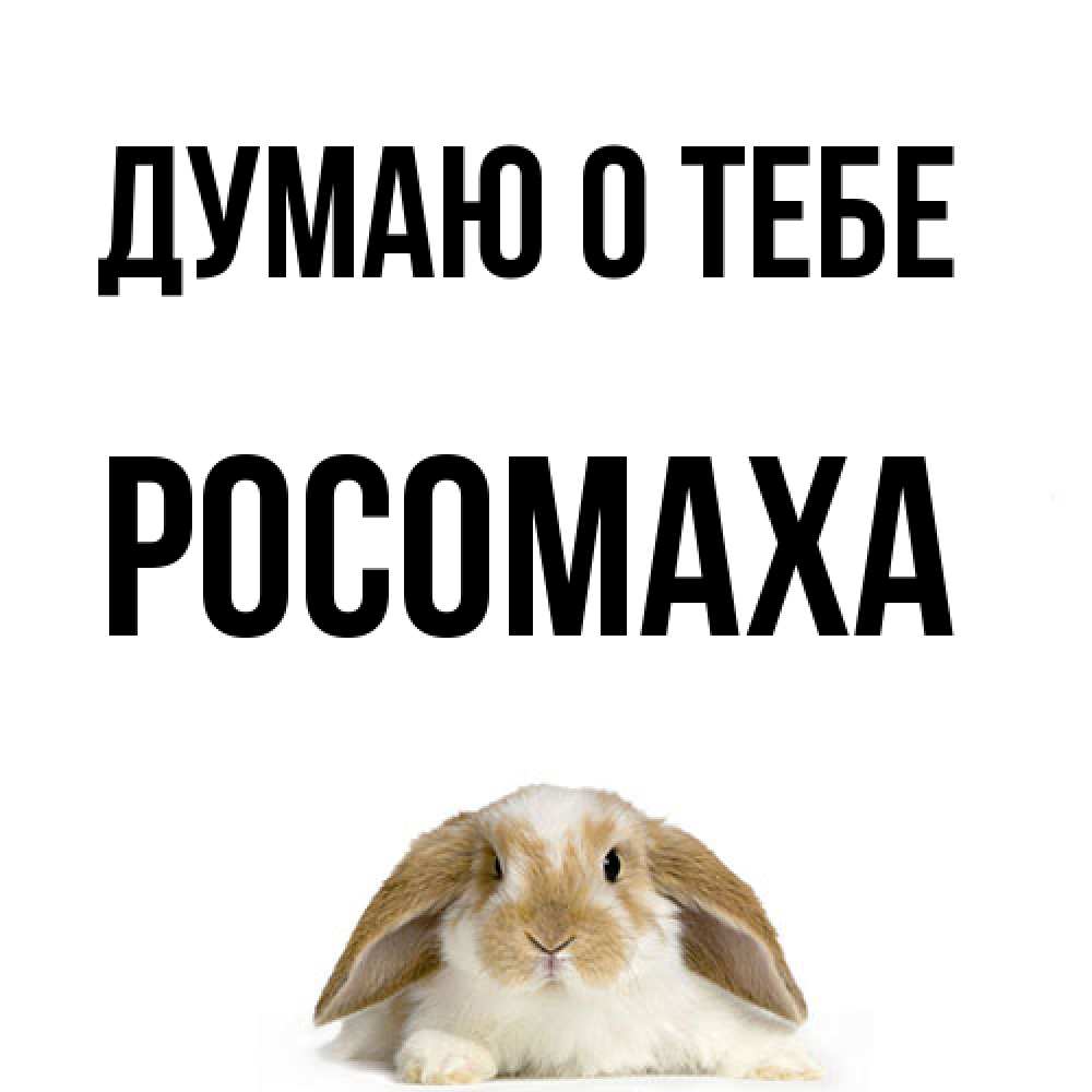 Открытка на каждый день с именем, Росомаха Думаю о тебе подписать своими руками онлайн Прикольная открытка с пожеланием онлайн скачать бесплатно 