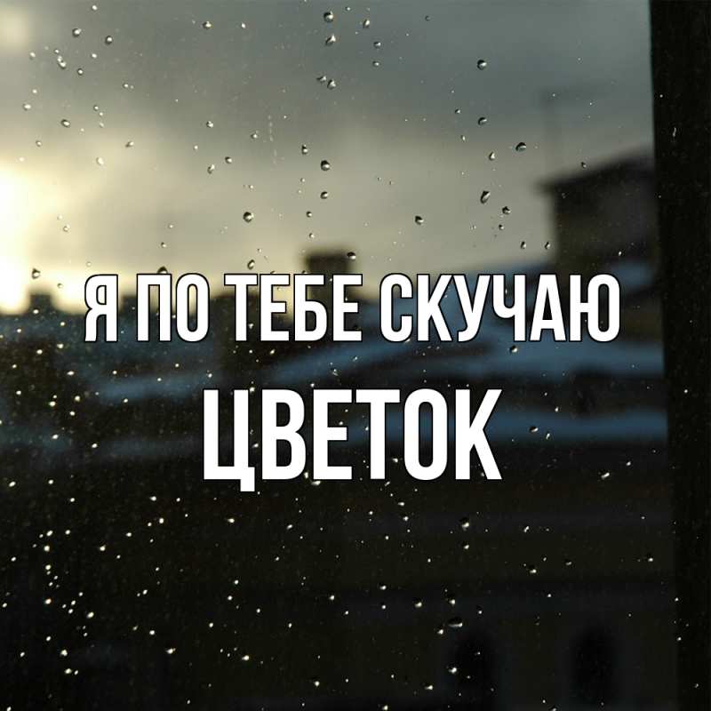 Картинка Я по тебе скучаю, Цветок