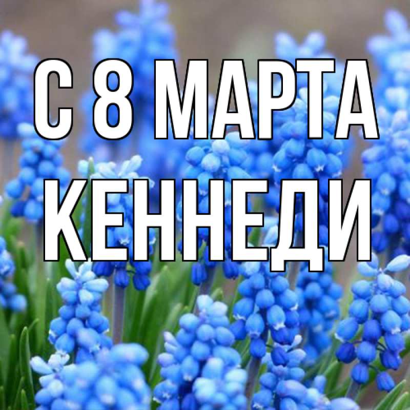 Картинка C 8 МАРТА, Кеннеди