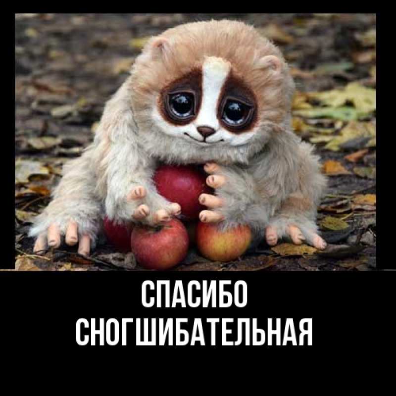 Картинка Спасибо, Сногшибательная