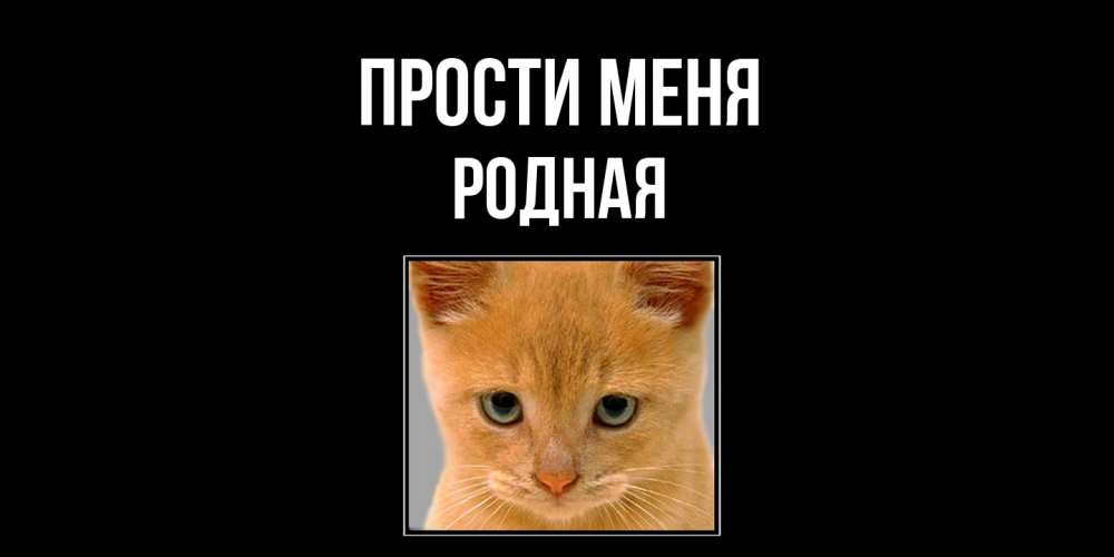 Открытка на каждый день с именем, Родная Прости меня рыжий грустный кот просит прощения Прикольная открытка с пожеланием онлайн скачать бесплатно 