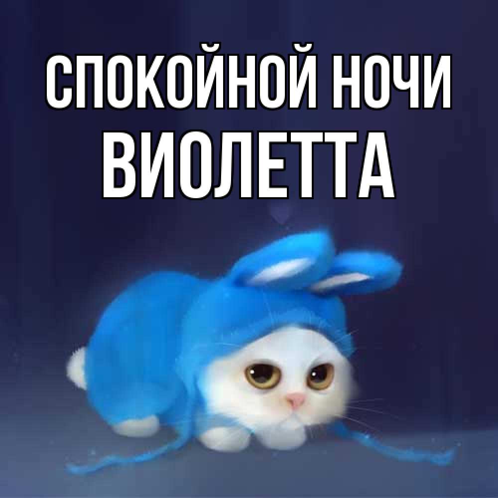Открытка на каждый день с именем, Виолетта Спокойной ночи кот в голубом костюме кролика с ушками Прикольная открытка с пожеланием онлайн скачать бесплатно 