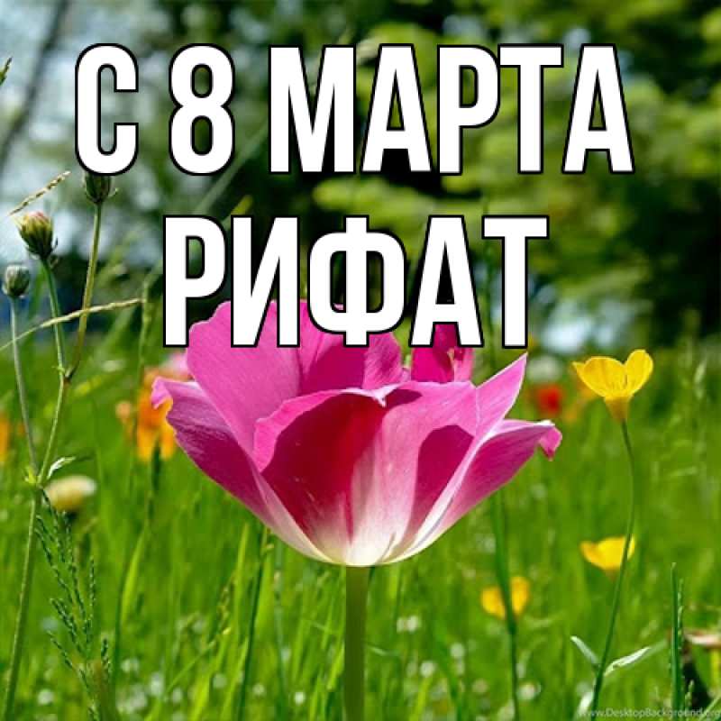 Картинка C 8 МАРТА, Рифат