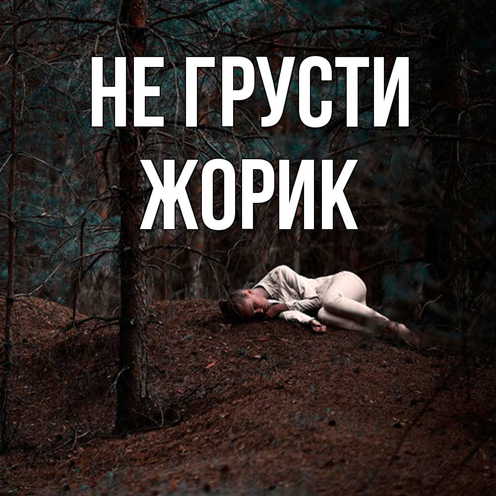 Открытка на каждый день с именем, жорик Не грусти лес Прикольная открытка с пожеланием онлайн скачать бесплатно 