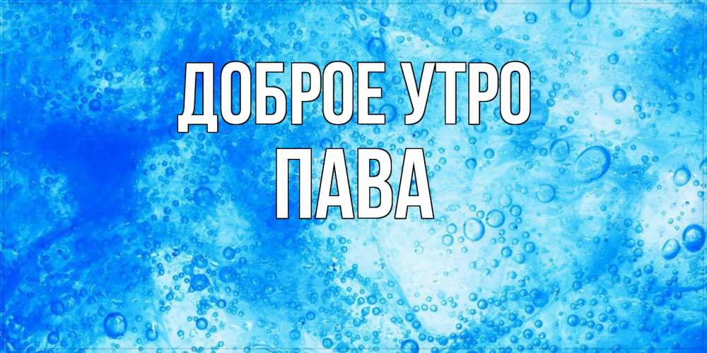 Открытка на каждый день с именем, пава Доброе утро хорошее утро под водой Прикольная открытка с пожеланием онлайн скачать бесплатно 