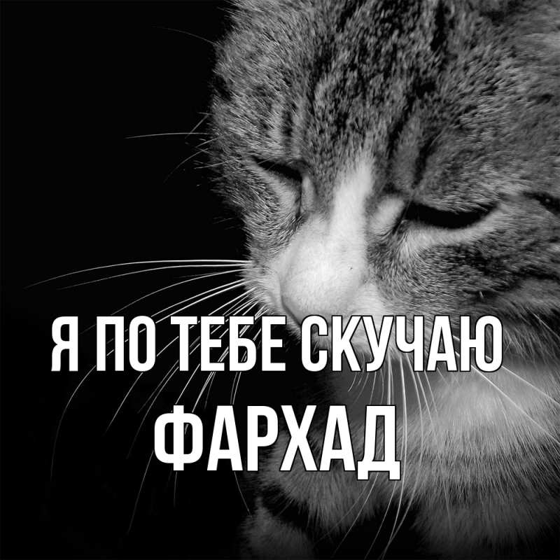 Картинка Я по тебе скучаю, Фархад