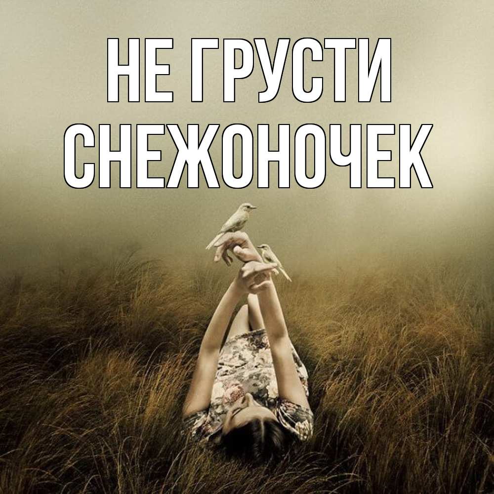 Открытка на каждый день с именем, Снежоночек Не грусти поле и туман Прикольная открытка с пожеланием онлайн скачать бесплатно 