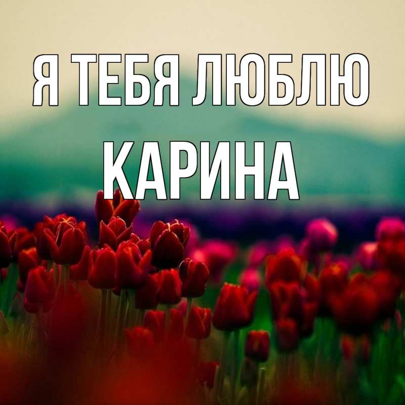 Картинка Я тебя люблю, Карина
