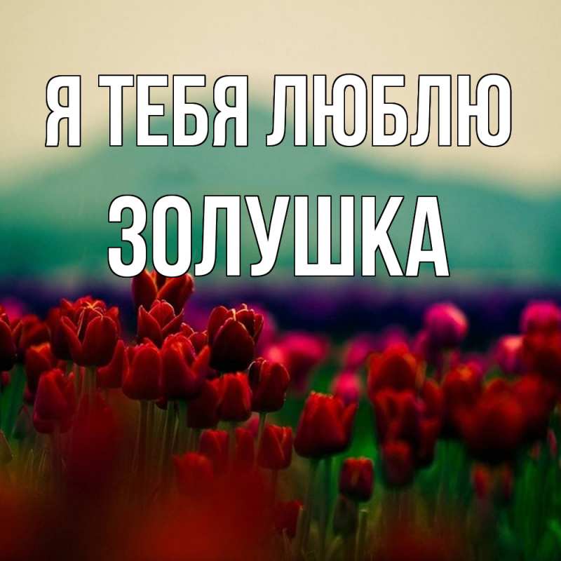 Картинка Я тебя люблю, Золушка